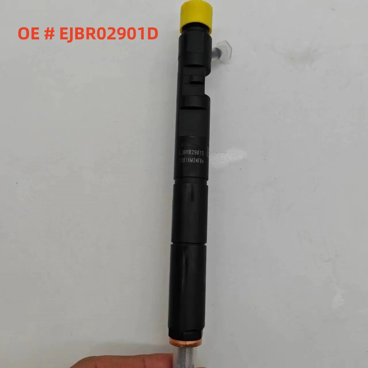 EJBR02901D 33801-4X800 Diesel Common Rail Injector EJBR0 2901D Fuel Nozzle EJB R02901D for Delphi KIA HYUNDAI Terracan 2.9 CRDi