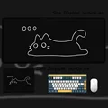 Cat-02