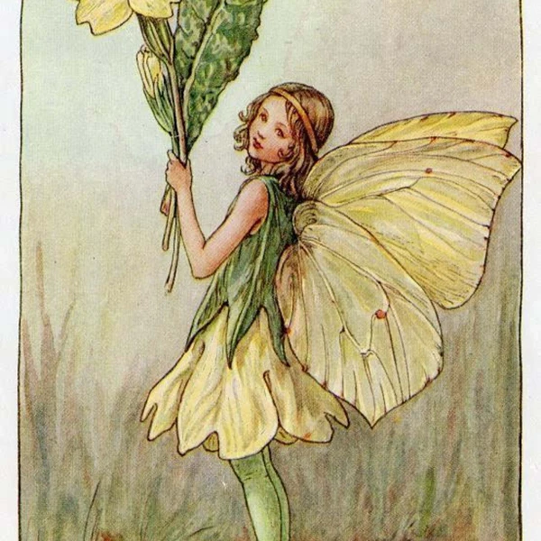 Fairy Wardrobe Store