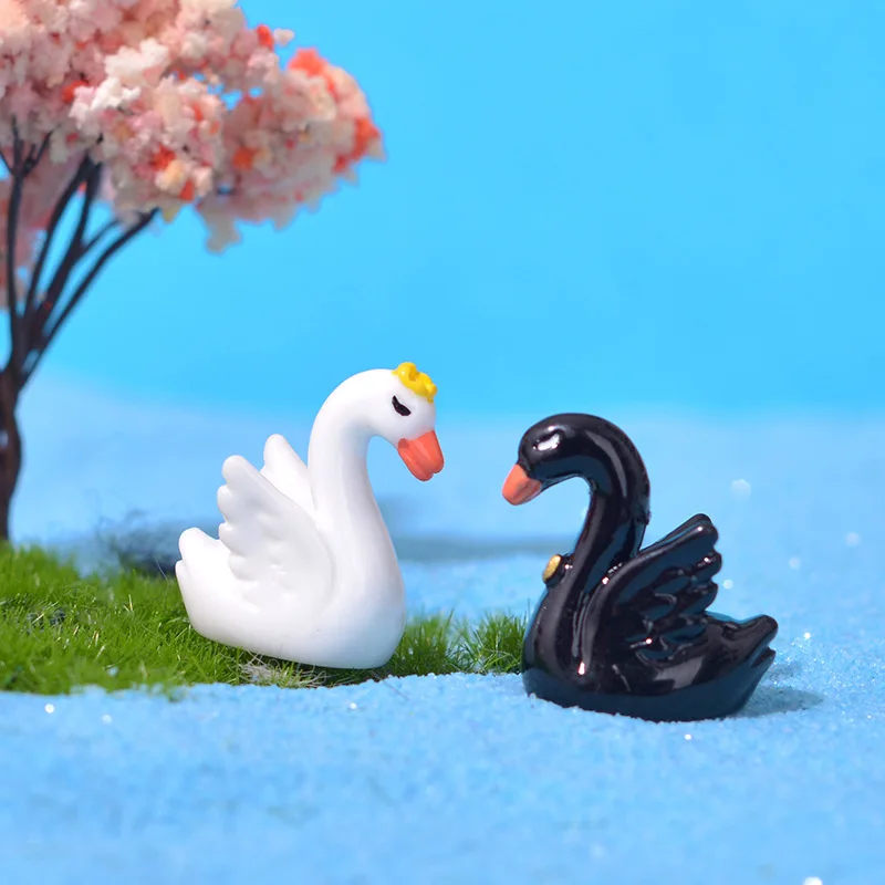 Cute Black and White Swan Micro Landscape Succulent Decoration and Creative Tabletop Accessories