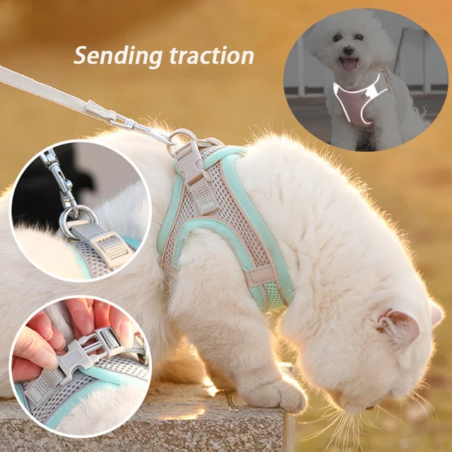 Dog Harness Leash Set for Small Dogs Adjustable Puppy Cat Harness Vest French Bulldog Chihuahua Pug Outdoor Walking Lead Leash Dog Harness Leash Set for Small Dogs Adjustable Puppy Cat Harness Vest French Bulldog Chihuahua Pug Outdoor Walking Lead Leash