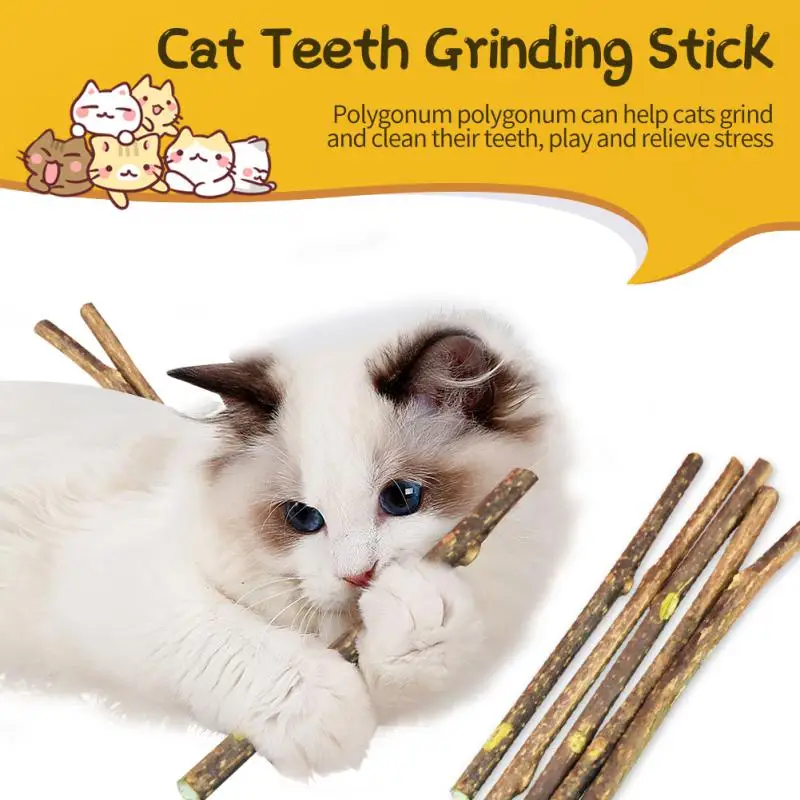 5PCS Cat Molar Stick Natural Pet Chew Stick Clean Teeth Tease Cat Stick Relieve Boredom Self-healing Cat Supplies Cat Treats