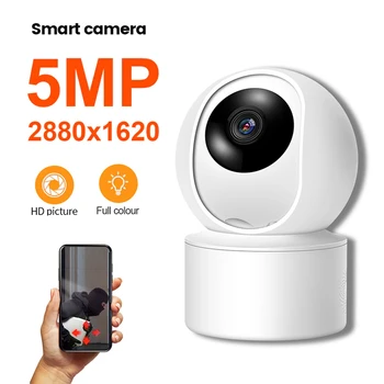 Camera Surveillance 1