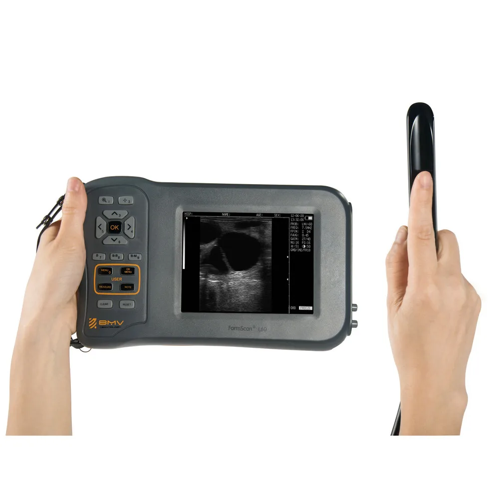 

Farmscan L60 ручной ecografo портативный для крупных животных, эквин бычьего животного, свиной машины