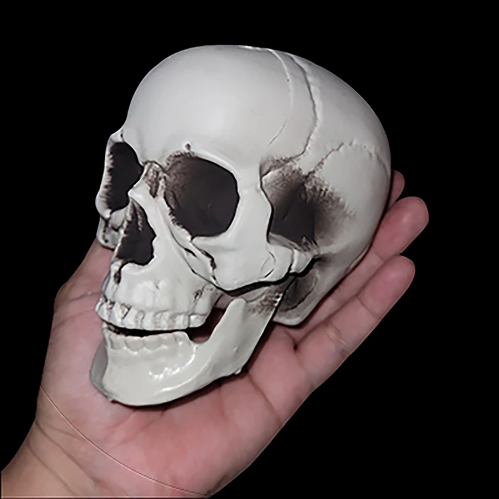 Realistic Halloween Skull Decor 6