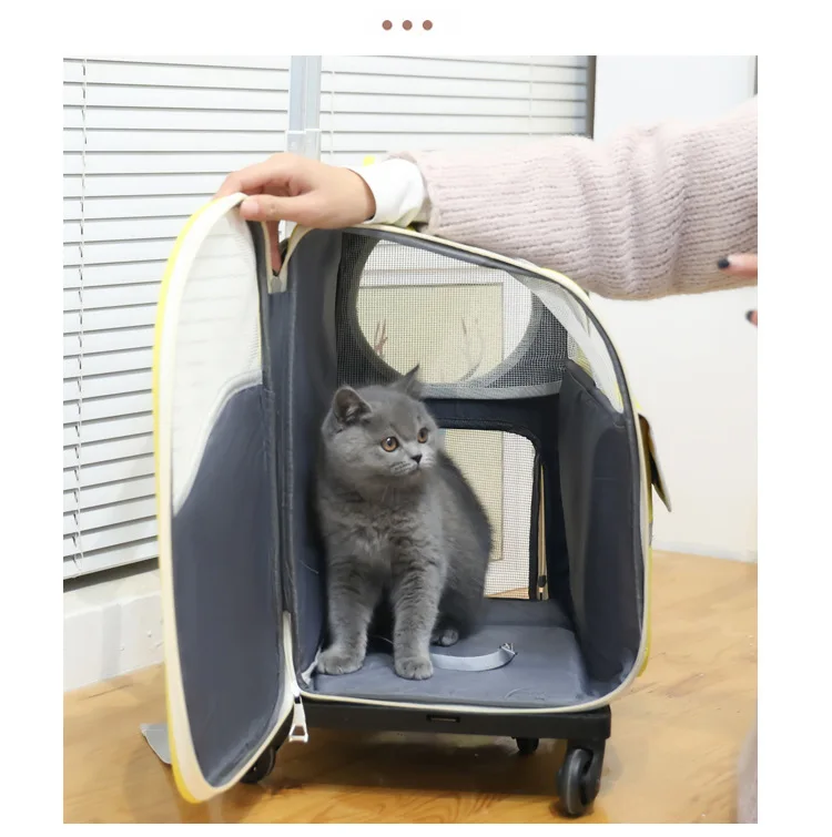 S3da83b90d7384b4baa410782b16db7d6i