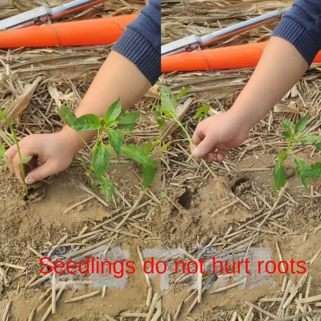 Yy Palánta Ültetési Szerszámgép Mezőgazdasági Lánc Záradék Kézikönyve Édes Burgonya Palánták Átültetési Gép - Image 2