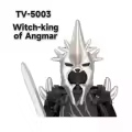 TV5003