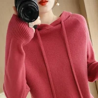 Hooded Sweater Woman Autumn Winter Long Sleeve Warm Bottoming Shirt Solid Casual Pullovers Knit Tops Korean Fashion Jumper 2025 - Image 3