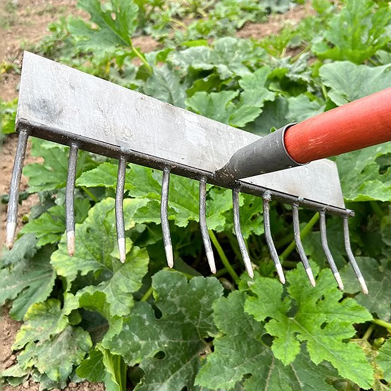 Dual-purpose garden rake Dual-purpose hoe ten-tooth rake hoe gardening planting flowers vegetables short handle garden agricult