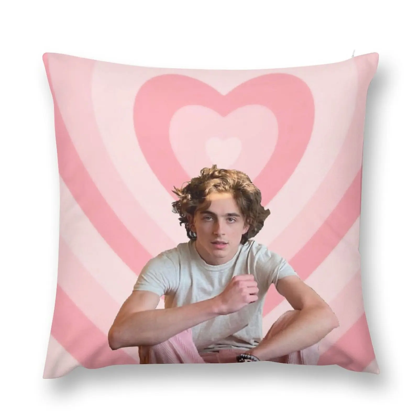 

timothee chalamet Throw Pillow Sofa Cover pillows decor home Luxury Pillow Case Sofa Covers For Living Room