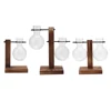 Plant Terrarium with Wooden Stand Bonsai Flower Pot Bulb Glass Hydroponic Plant Vase for Indoor Office Desk Decor Accessories 2
