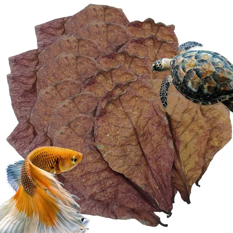 Aquarium Leaves Terminalia Catappa Leaves Betta Shrimp Leaves PH Balance Water Conditioner For Aquarium Turtles Shrimps Catfish Habitat