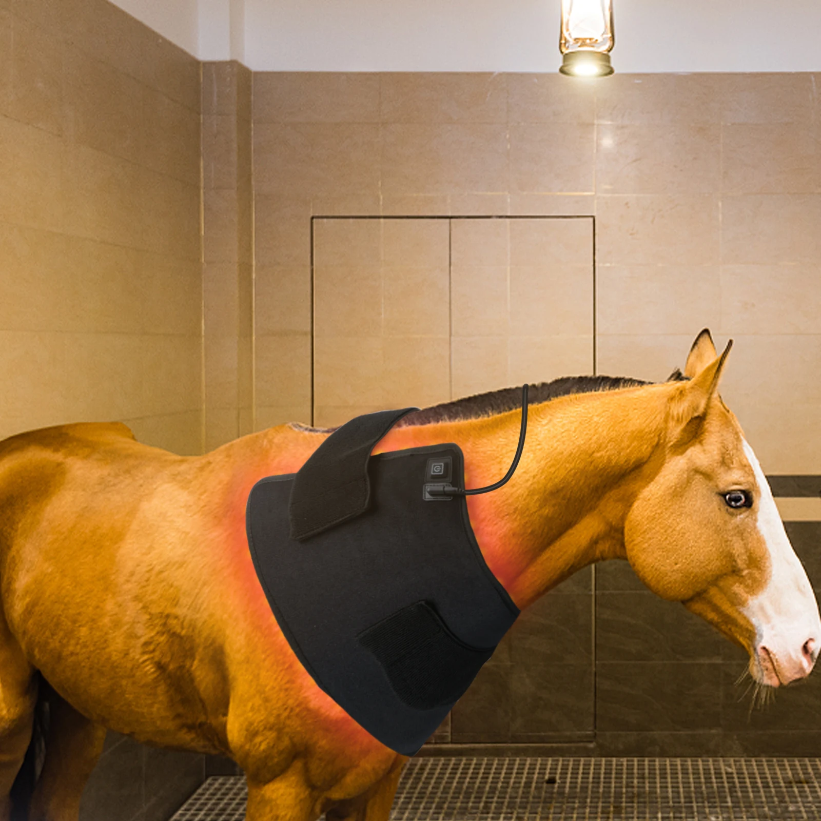 

OEM ODM Heating Pad LEDs Infrared light therapy mat 660nm 850nm red light therapy blanket horse