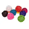 5/10pcs Colorful Rattan Balls Parrot Toys Bird Interactive Bite Chew Toys for Parakeet Budgie Cage Accessories Bird Toys 4