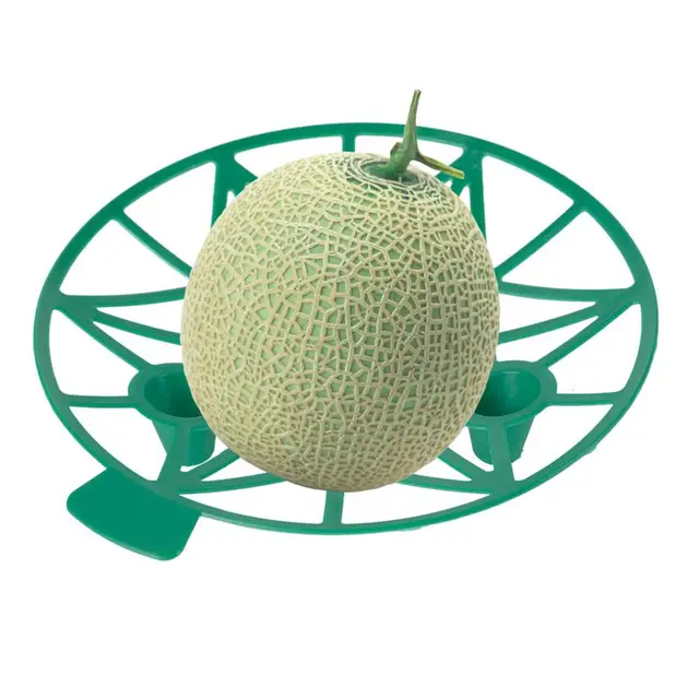 Görögdinnye Bölcső Óvoda Tálca Korróziógátló Gyümölcsök Zöldségek Tároló Cantaloupe Tök Támogató - Image 4