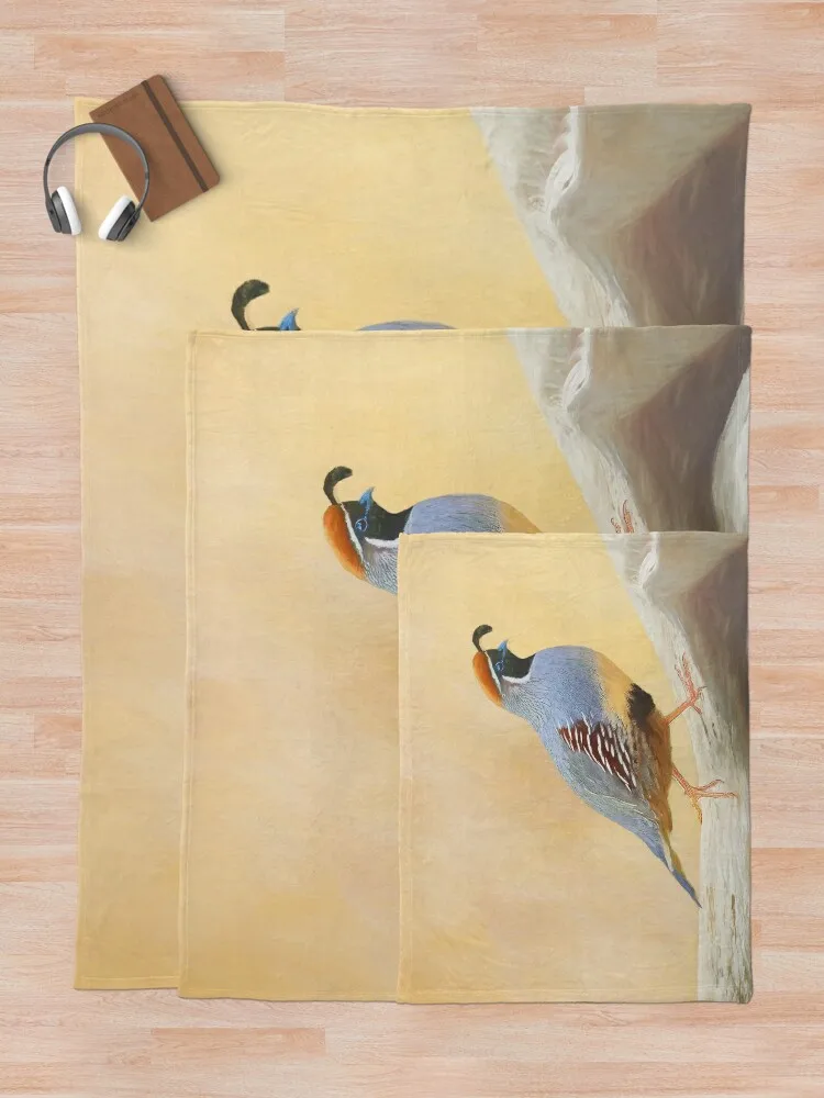 Gambrels ���߶�� ������ ���, ������ ���, ���� ��� ���, ���� ��� �� ������