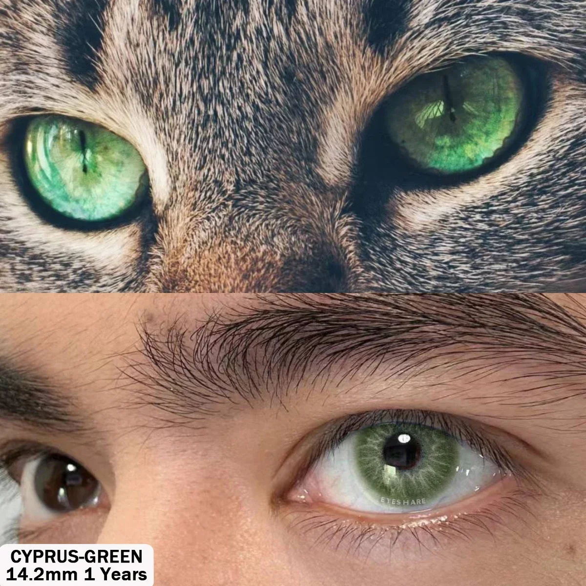 Vibrant Colored Contact Lenses - Cyprus Blue & Natural Gray 1 Pair
