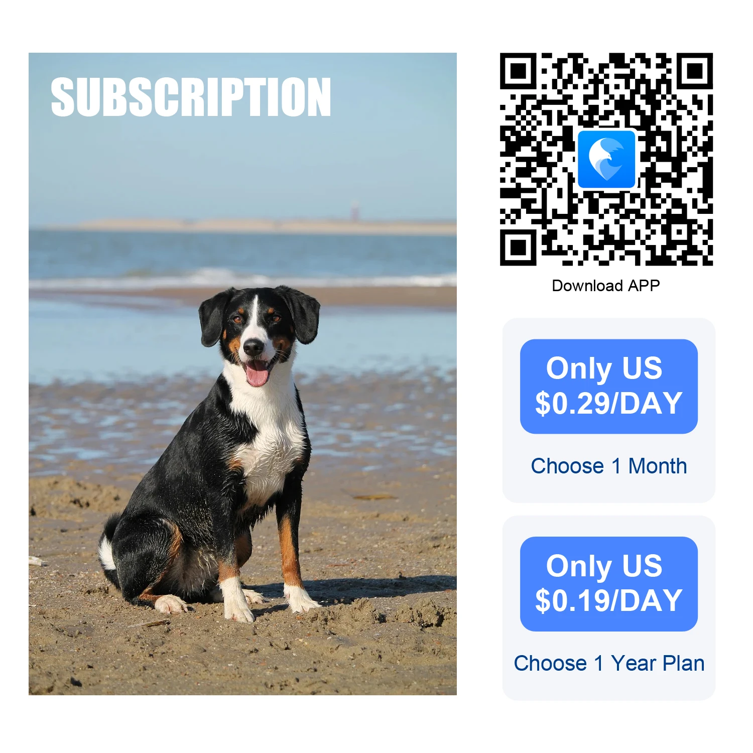 Global Pet Tracker smart tracker