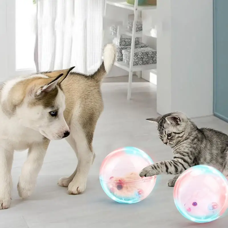 고양이 장난감 새끼 고양이 티저 장난감 배터리 구동 무작위 이동 5in 클리어 바 내부 봉제 동물과 자동 이동 공