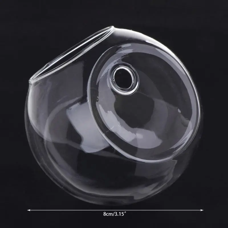 Glass Vase Wall Hanging Hydroponic Terrarium Fish Tanks Potted Plant Flower pot 6
