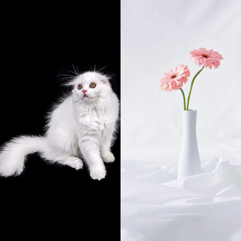 ũθŰ  ,  ȭƮ ũ Կ  õ  ư  Ʃ  ȭƮ