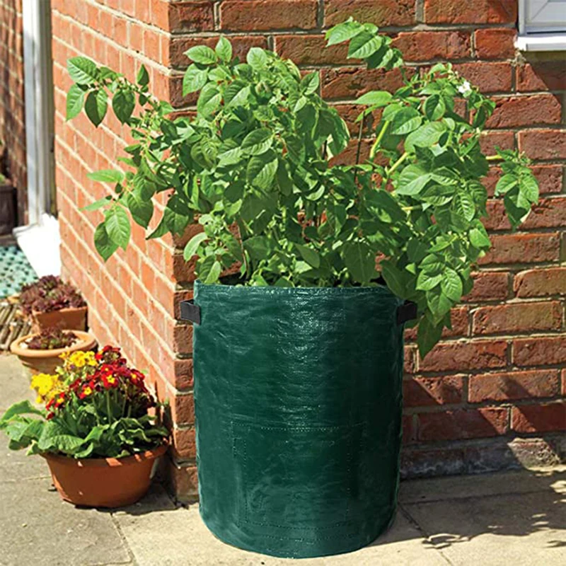 Details more than 158 vegetable grow bags uk super hot esthdonghoadian