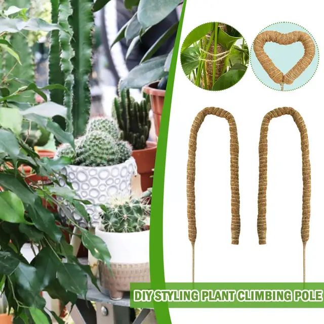 Diy Modellező Növényi Mászó Rúd Szőlő Kókuszdió Hajlított Pálma Oszlop Alakú És Moha Kertészkedés Zöld Kapor J3L0 - Image 2