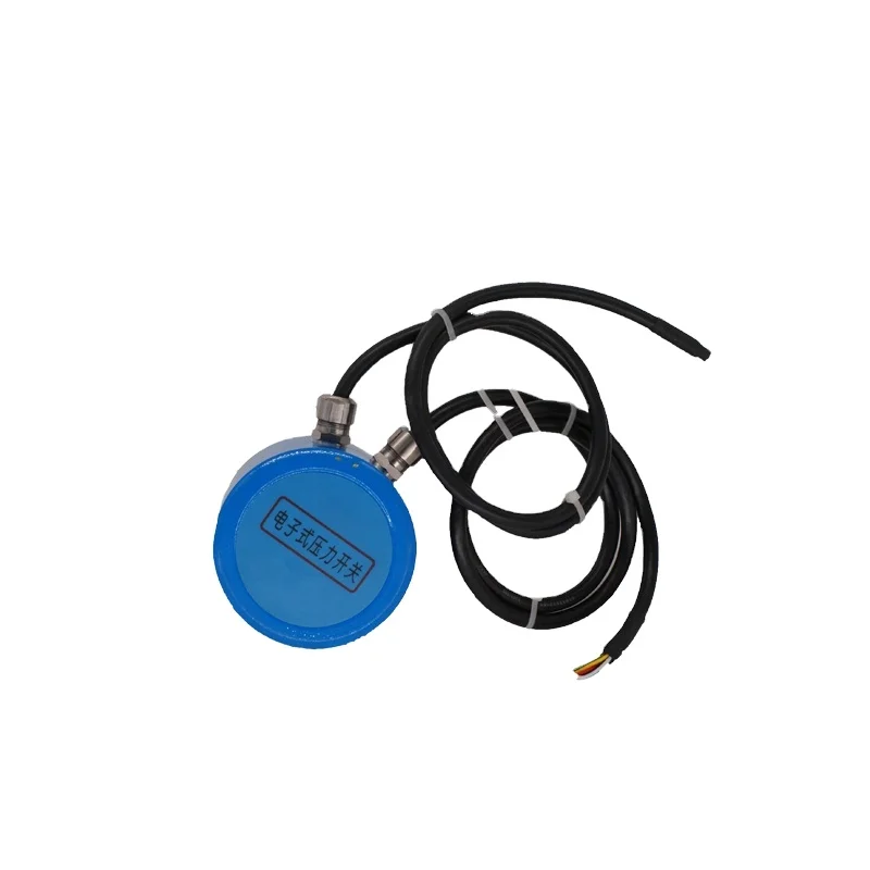 

Adjustable Water Pressure Switch For Water Pump Dual Relay Output Digital Pressure Switch Controller