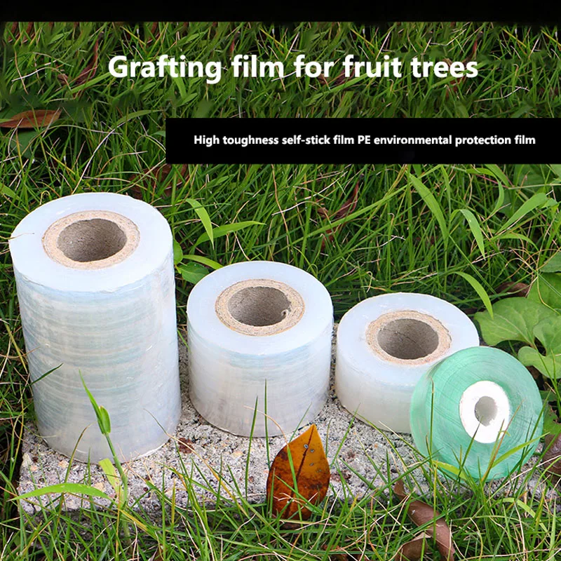 ���� �ʸ� ���� �ʸ�, ���� �ö�ƽ ��Ʈ��ġ �ʸ�, �������κ��� ���� ����, Ư�� �ʸ�