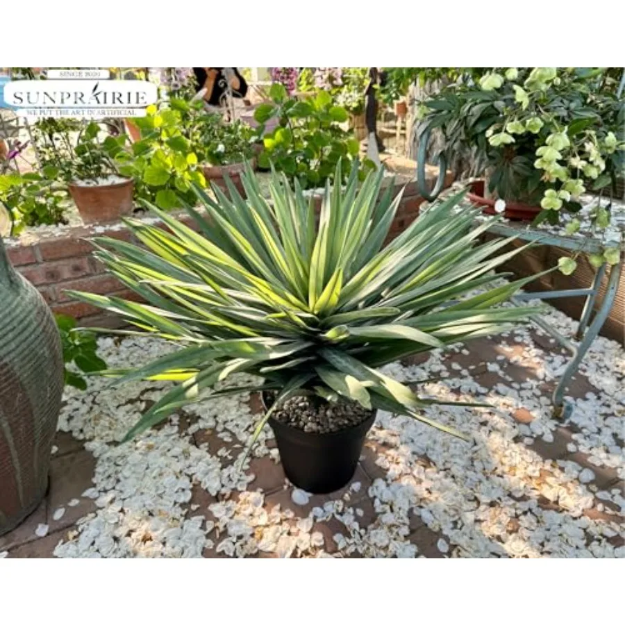 description