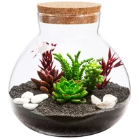 Micro Landscape Ecological Bottle Microlandscape Plants Light Bulbs Home Empty Glass Moss Planter Terrarium 1