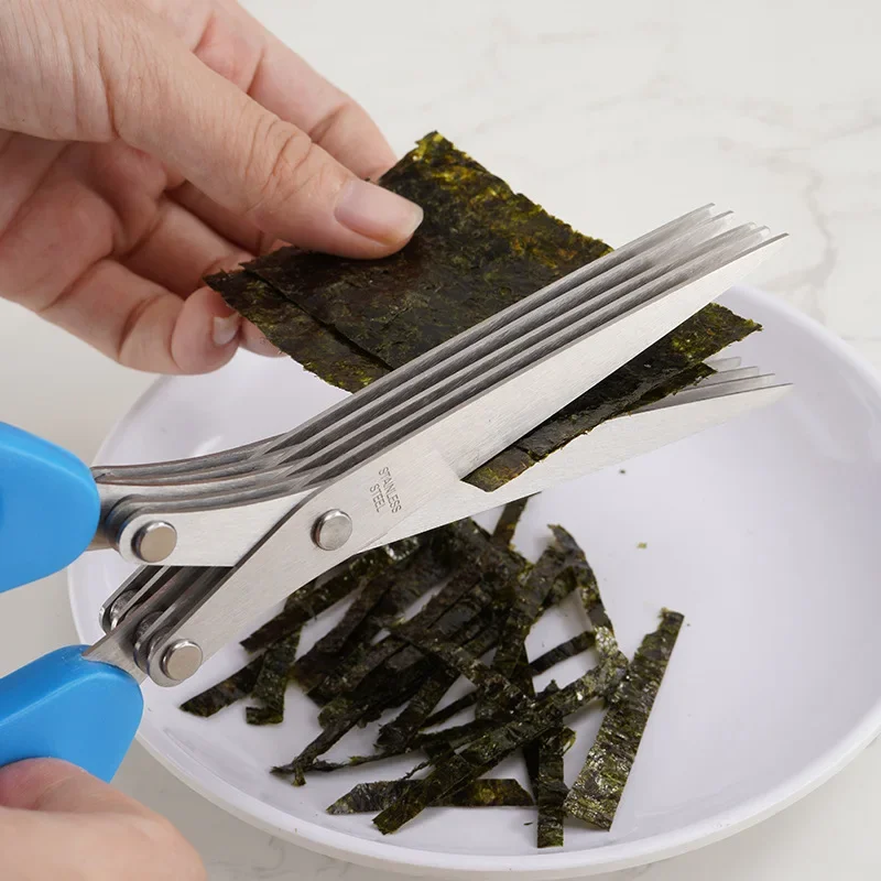 5 Blade Herb Scissors 1