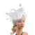 Women Mesh Veil Fascinator Hat with Feather, Flower Headband with Clip, Kentucky Derby Wedding Bridal Cocktail Headwear 2