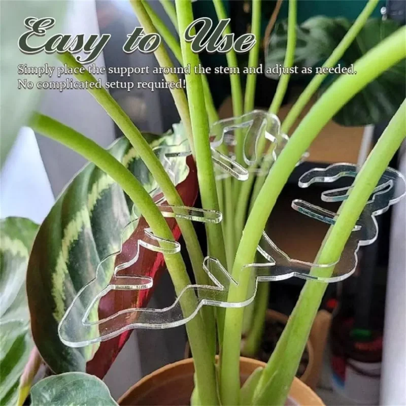 Turtle Shell Bamboo Clamp Set Monstera Grapple Plant Monstera Plant Support Keeps Plants Tame Growing Vertical