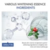 30ml Vegan Makeup Primer Niacinamide Hydrating Moisturizing Brightening Skin Arbutin Essence Private Label 3