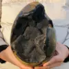 Natural Turtle Back Stone Egg Shape Dragon Crystal Crack Mineral SpecimenHome Office Hallway Decoration Healing Gift 2