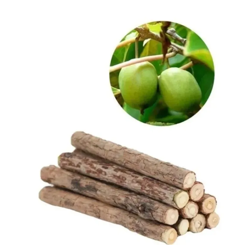 Natural Silvervine Sticks Chew Toys for Cats