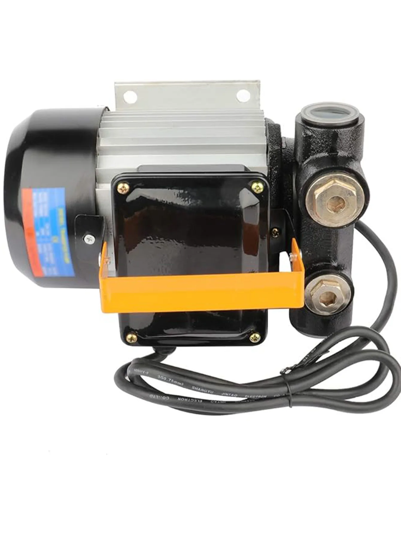 110V AC 550W Self Priming Electric Transfer Pump, 20-60L/Min Oil Transfer Pump Fuel Kerosene Biodiesel Pumps For Vehicles, Const