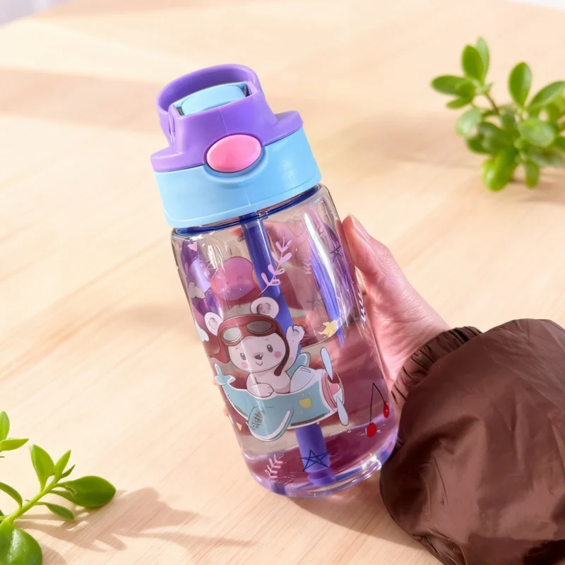 Charming 480ml BPA-Free Water Bottle with Straw & Leak-Proof Lid