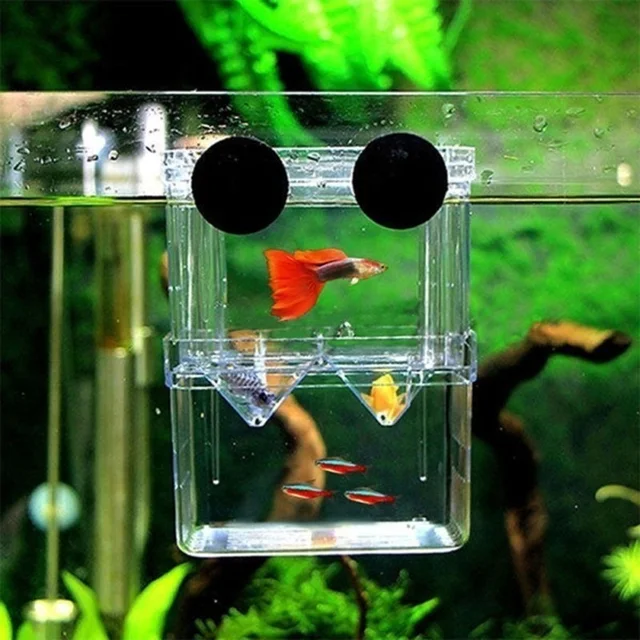 Multifu Fish Aquarium High Clear Breeding Isolation Box Pet Supplies Breeder Tank Double Guppies Hatching Incubator Pet Products 5