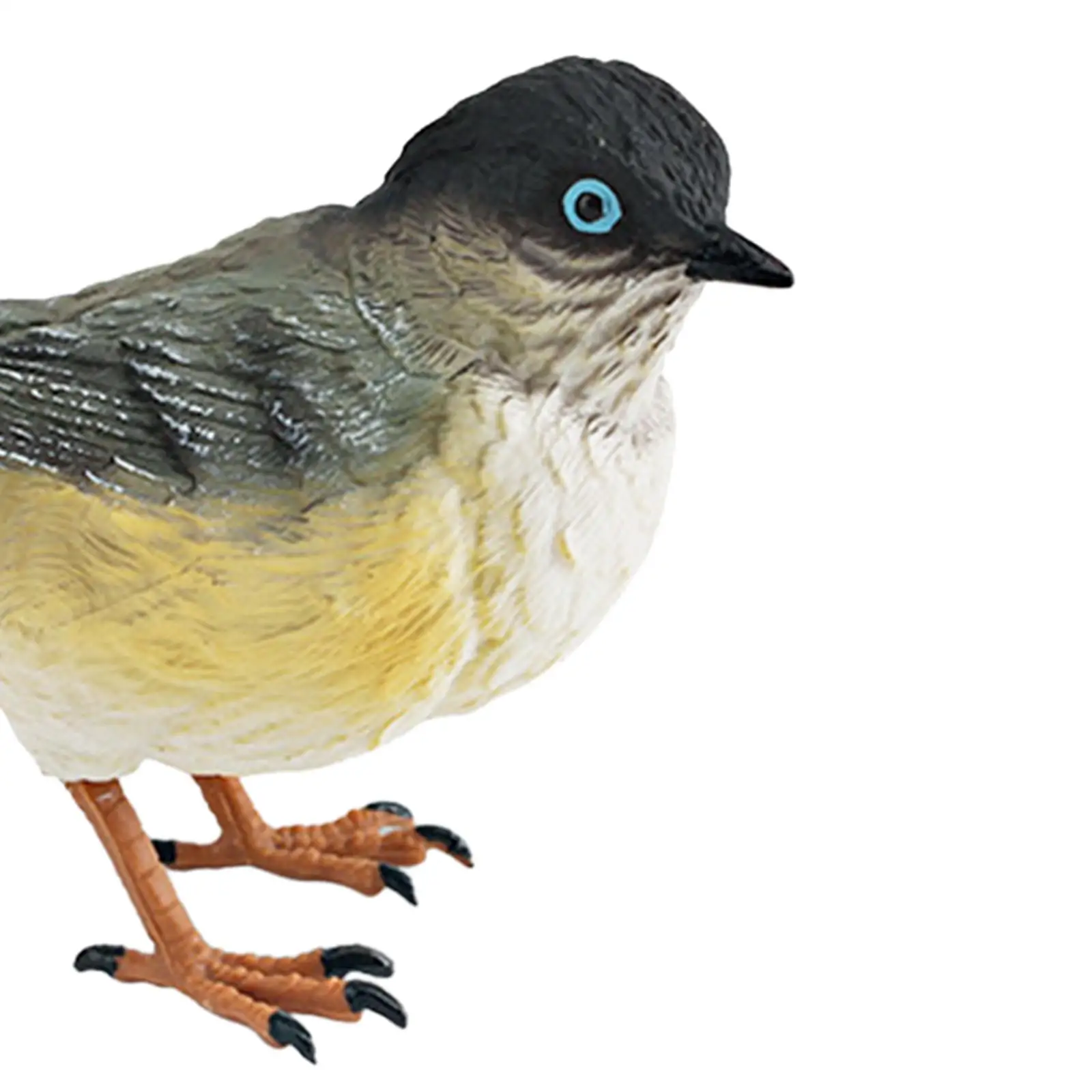 Animal Sculpture Collectible Handpainted DIY Crafts Simulation Bird Figurines for Tabletop Office Party Holiday Courtyard