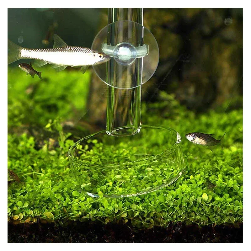 VIV Aquairum 크리스탈 새우 동굴 둥지 유리 먹이 분지 먹이 튜브 Hurl 음식 파이프 물고기 탱크 액세서리 ADA 품질
