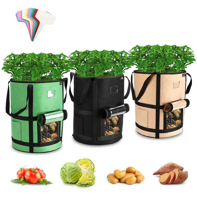 3Pcs 10 Gallon