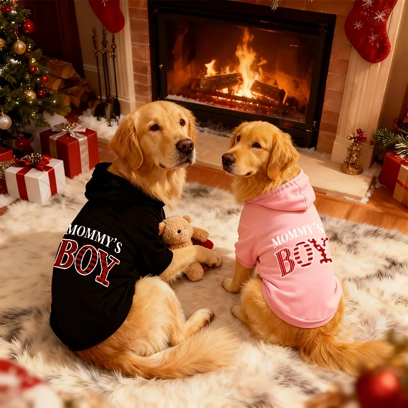 S3dde46cfec44468697720d99187ba080G