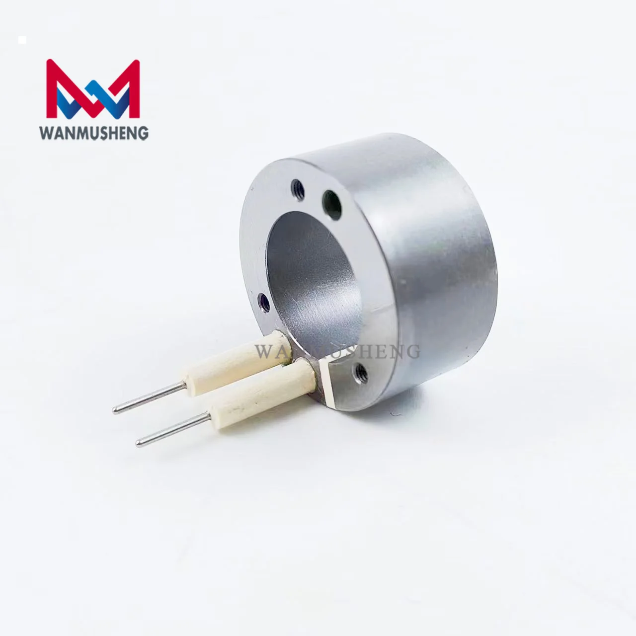 2Pcs Common Rail Diesel Fuel Coil for 7206-0379 Valve 20440388 Injector