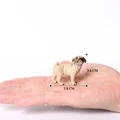 Sharpei