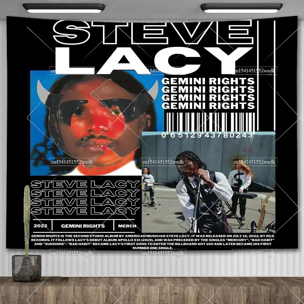 

STEVE LACY Posters Gemini Rights Music Album Cover Wall Hanging Tapestry Aesthetic Tapestries Macrame Room Decoration Paintings