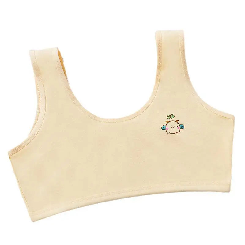 Girls Bra Underwear 7-14T 12 years