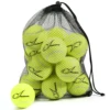 INSUM Tennis Balls,12-Pack Advanced Training Tennis Balls for Beginner Practice Balls, Pet Dog Tennis Balls with Mesh Bag